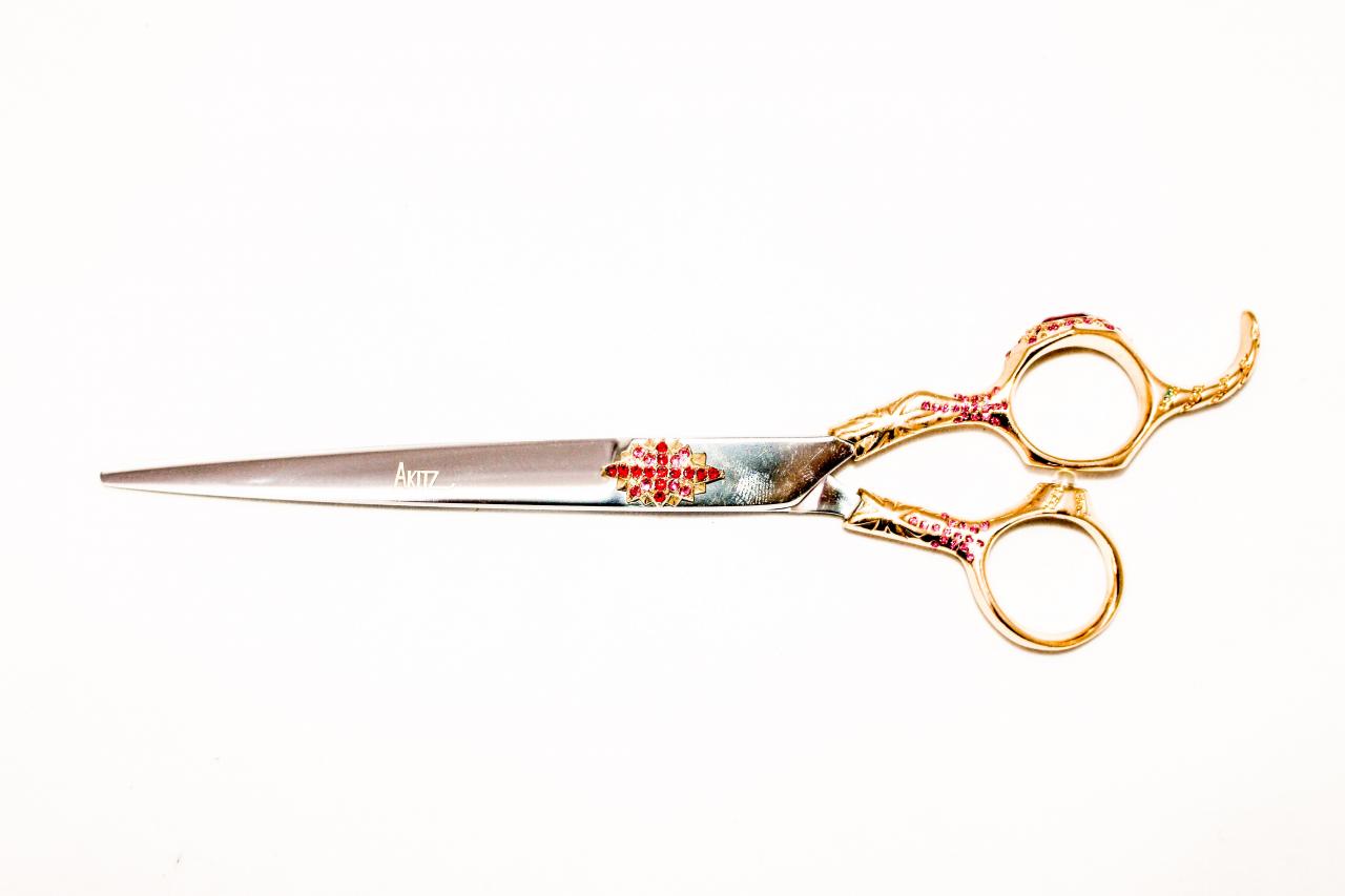 A1286E55-6C0B-4129-984D-8817F67D71C9