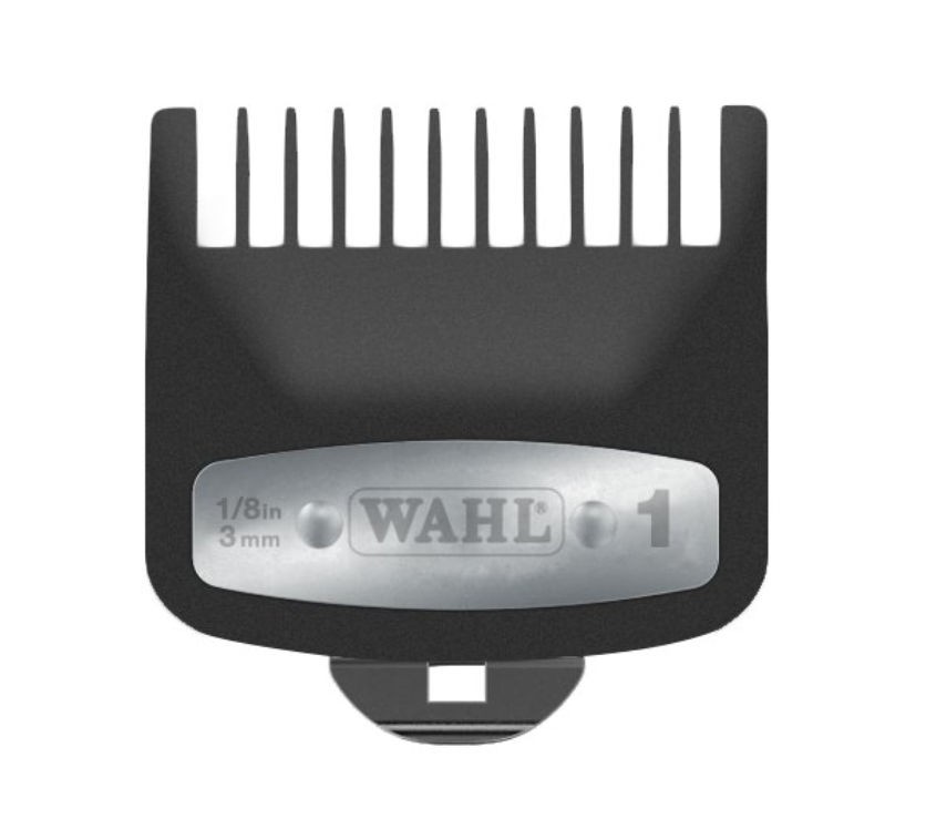 Screen Shot 2018-08-24 at 10.24.55 AM