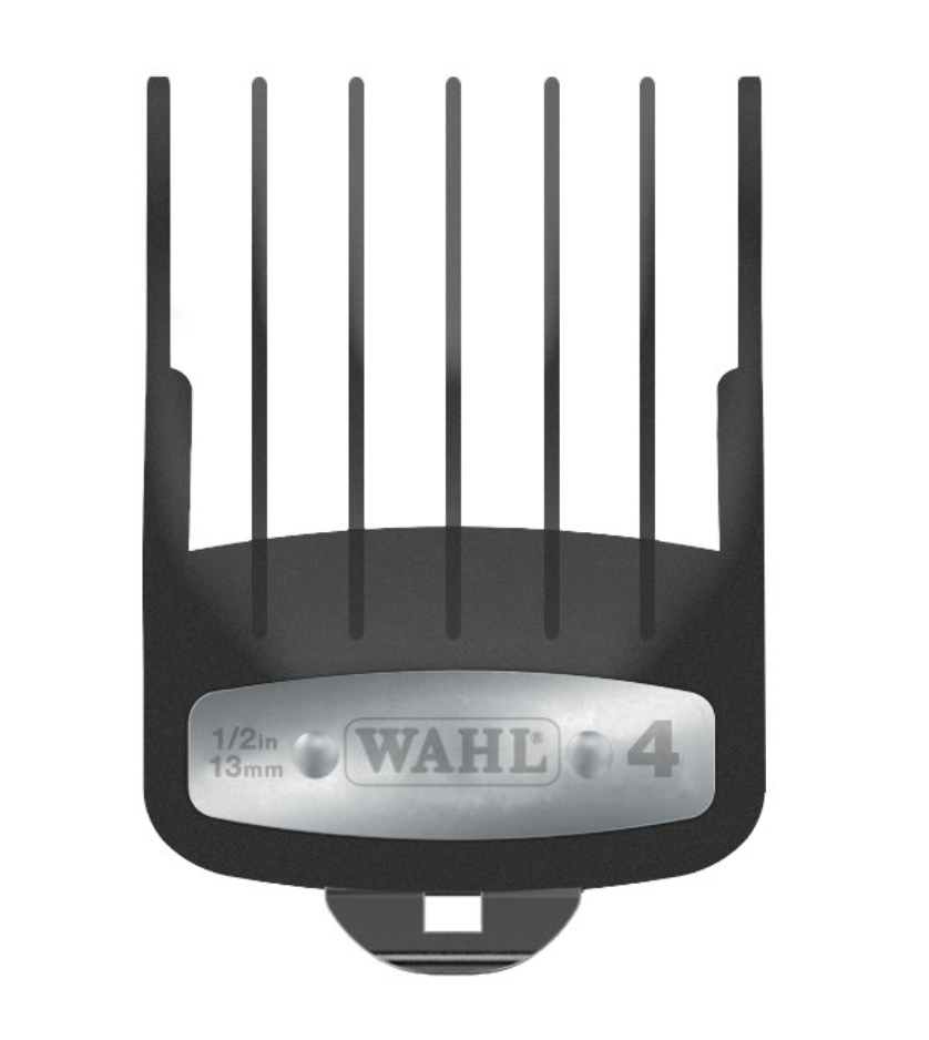 Screen Shot 2018-08-24 at 10.38.31 AM