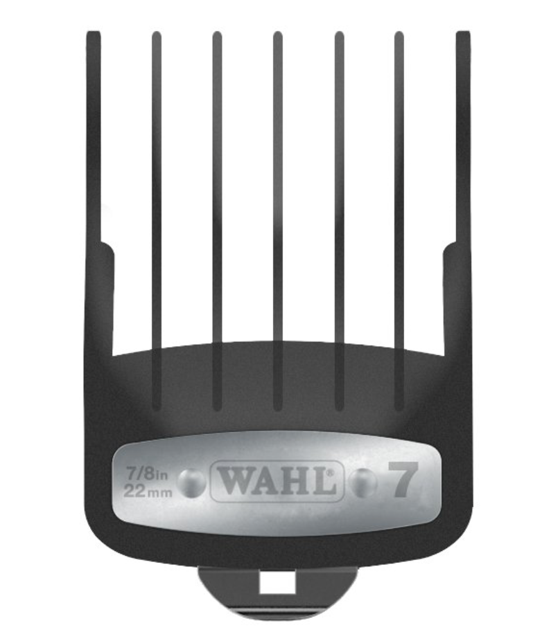 Screen Shot 2018-08-24 at 10.50.35 AM